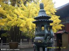 紅螺寺-青龍峽二日游